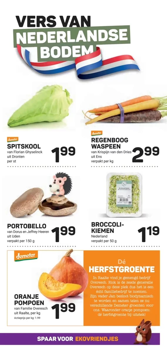 Ekoplaza folder – pagina 11