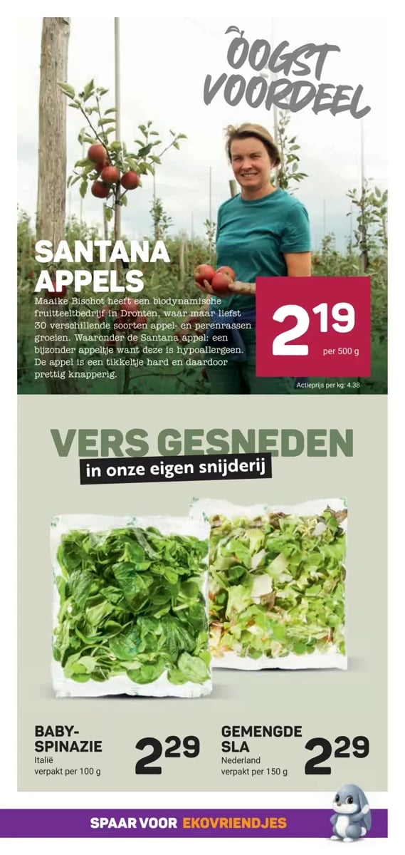 Ekoplaza folder – pagina 13