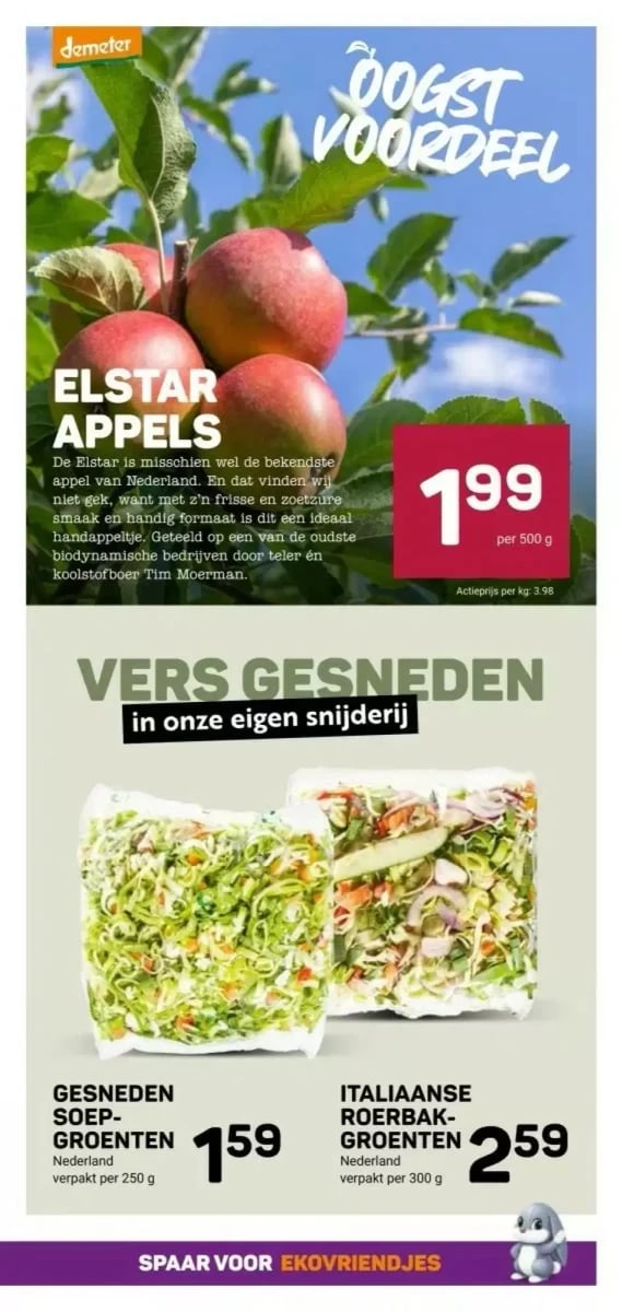 Ekoplaza folder – pagina 13