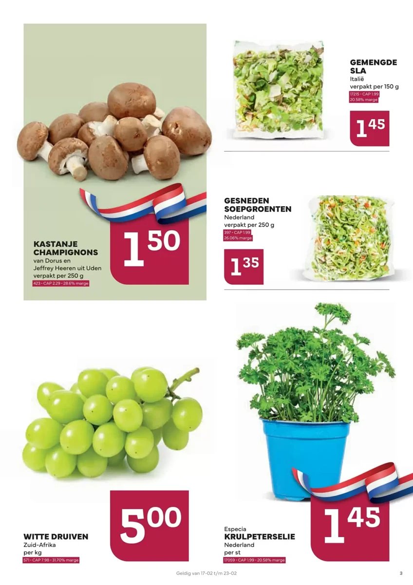 Ekoplaza folder – pagina 3