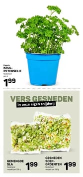 GEMENGDE SLA aanbieding bij Ekoplaza – geldig van 18.02.2026 t/m 24.02.2026