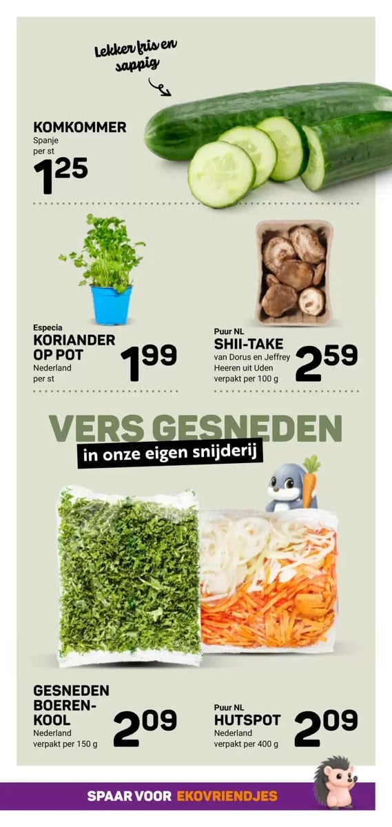 Ekoplaza folder – pagina 13