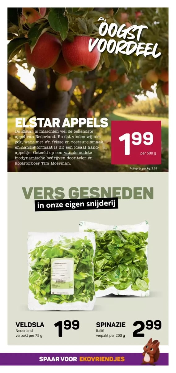 Ekoplaza folder – pagina 13