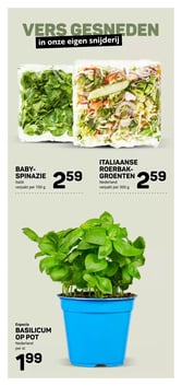 BASILICUM OP POT aanbieding bij Ekoplaza – geldig van 25.02.2026 t/m 03.03.2026