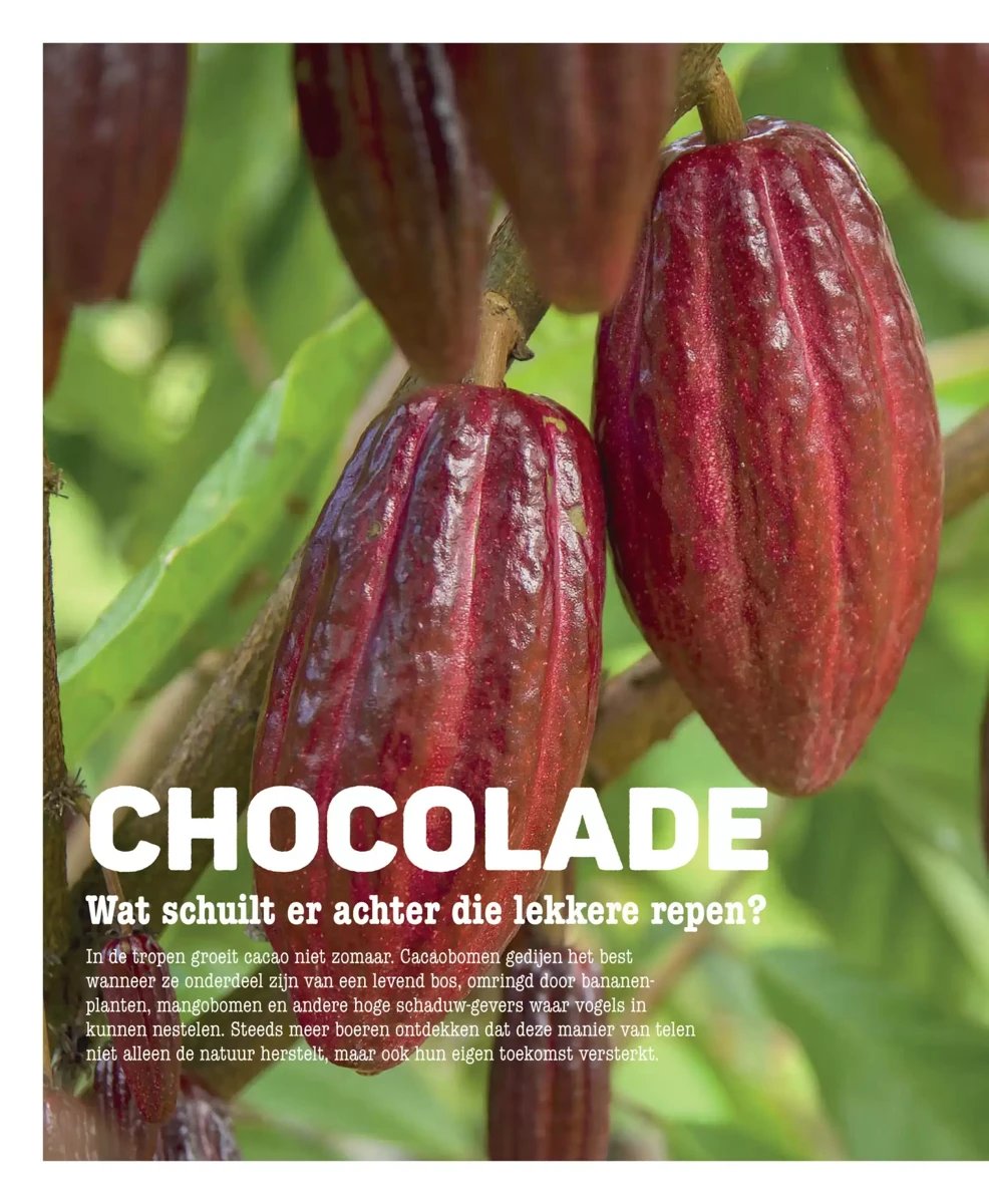 Ekoplaza folder – pagina 46
