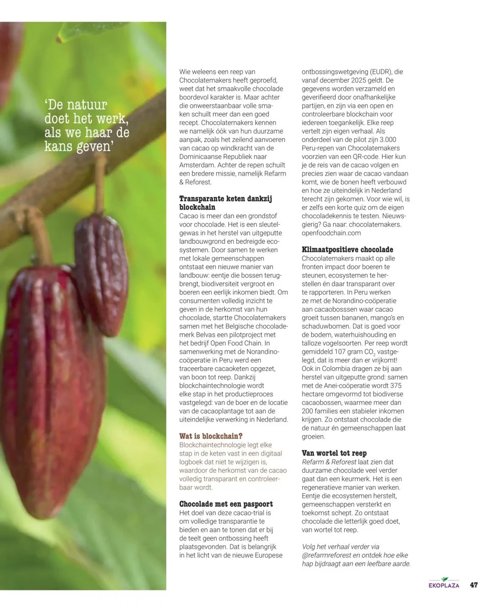 Ekoplaza folder – pagina 47