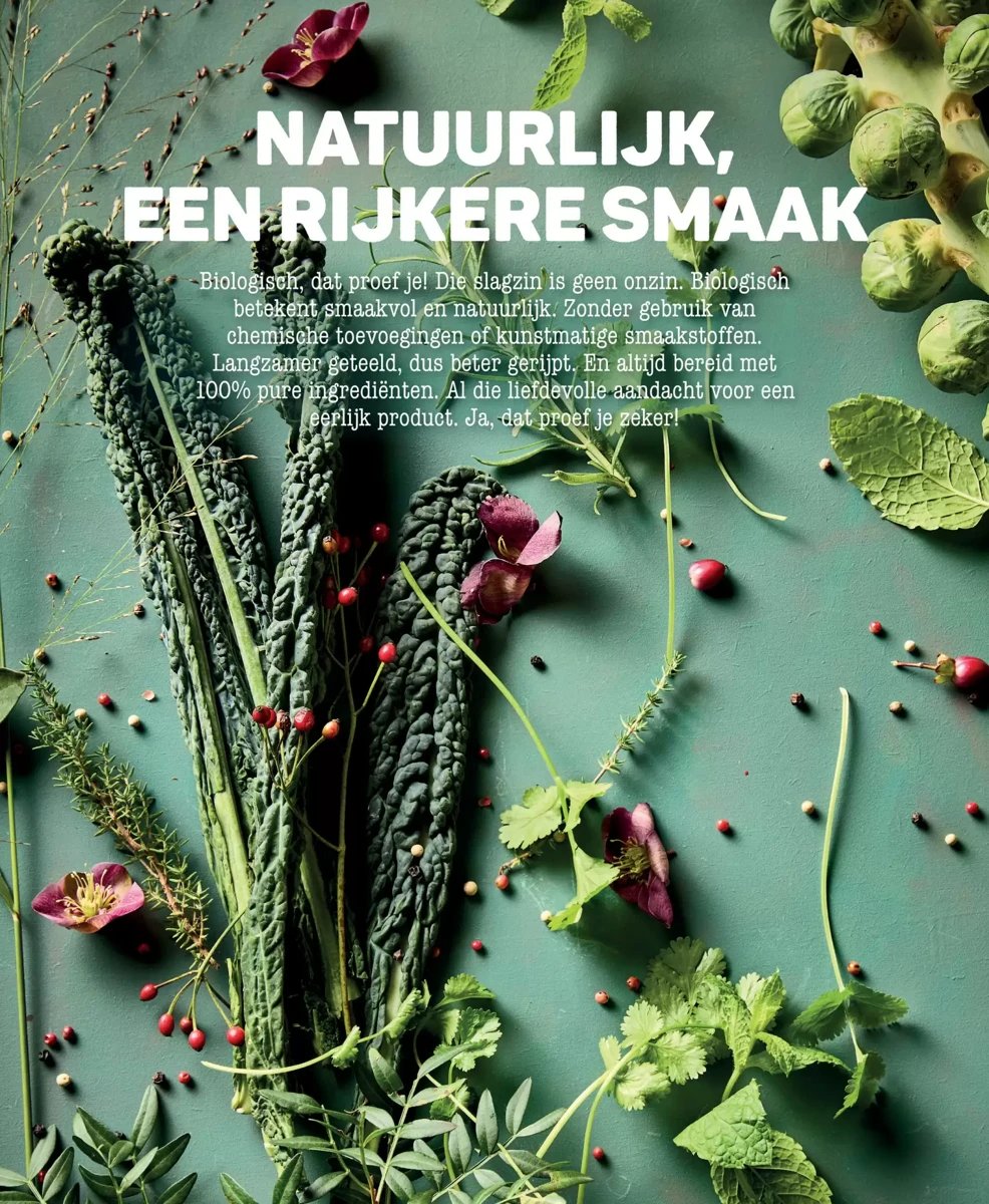 Ekoplaza folder – pagina 8