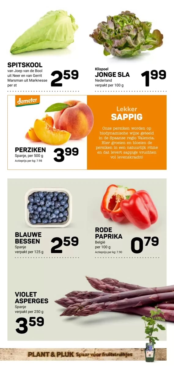 Ekoplaza folder – pagina 11