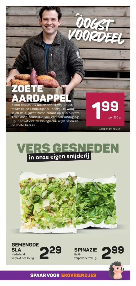 Ekoplaza folder – pagina 15