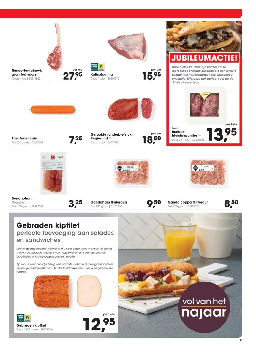 Hanos folder – pagina 9