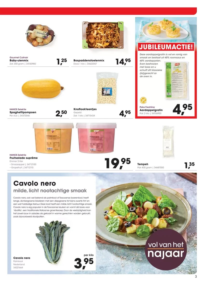 Hanos folder – pagina 3
