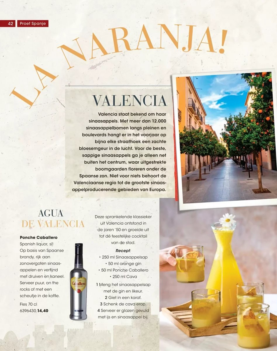 Hanos folder – pagina 42