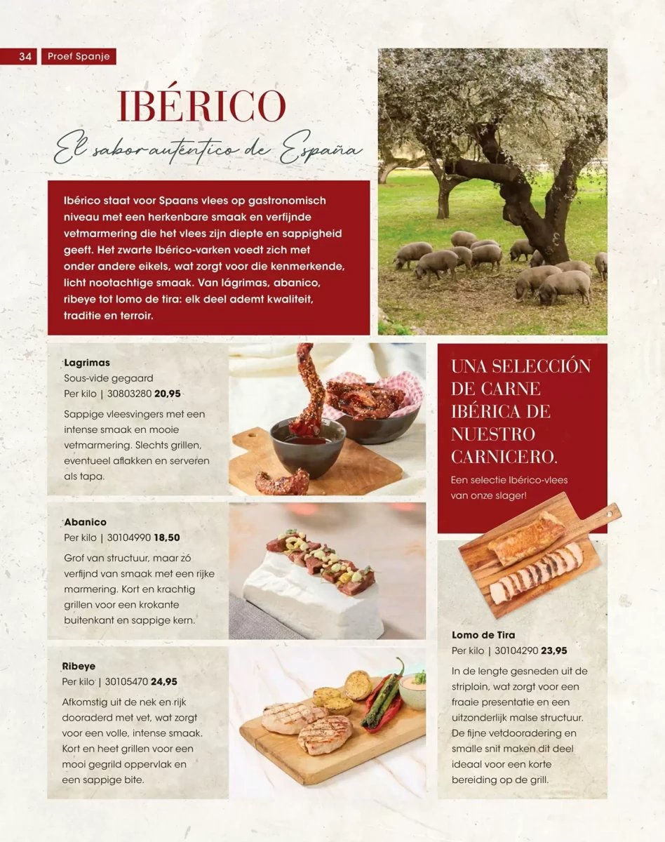 Hanos folder – pagina 34