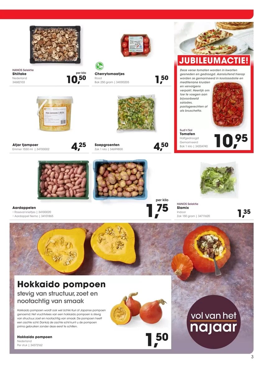 Hanos folder – pagina 3