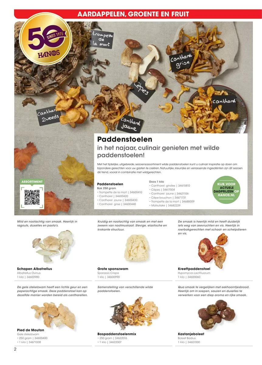 Hanos folder – pagina 2