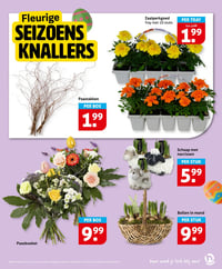 Bloemen & planten aanbieding bij Hoogvliet – geldig van 01.04.2026 t/m 07.04.2026