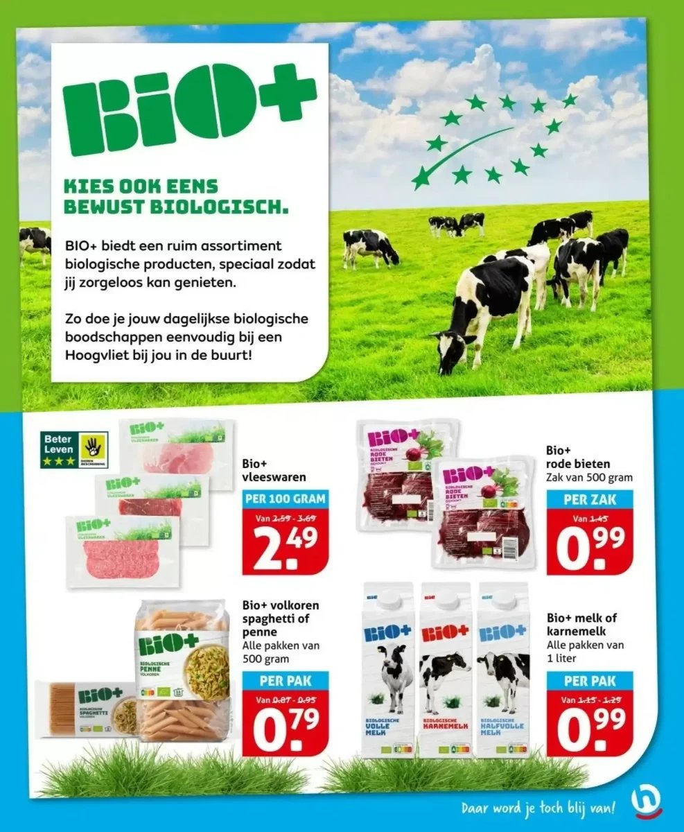 Hoogvliet folder – pagina 11