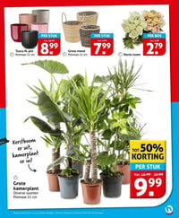 Grote mand aanbieding bij Hoogvliet – geldig van 02.01.2026 t/m 06.01.2026