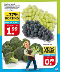 Druiven wit of blauwe sable druiven aanbieding bij Hoogvliet – geldig van 04.02.2026 t/m 10.02.2026