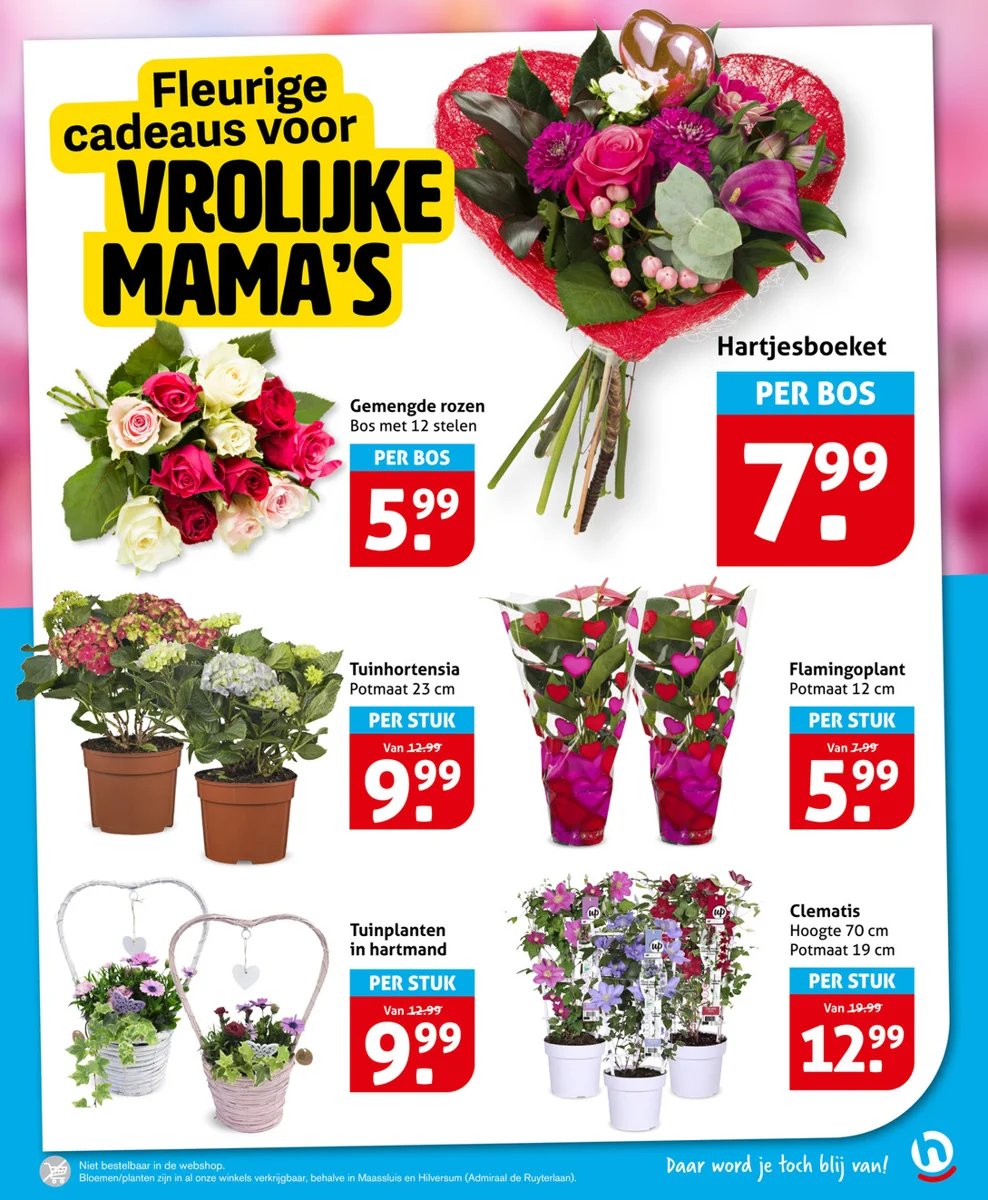 Hoogvliet folder – pagina 19