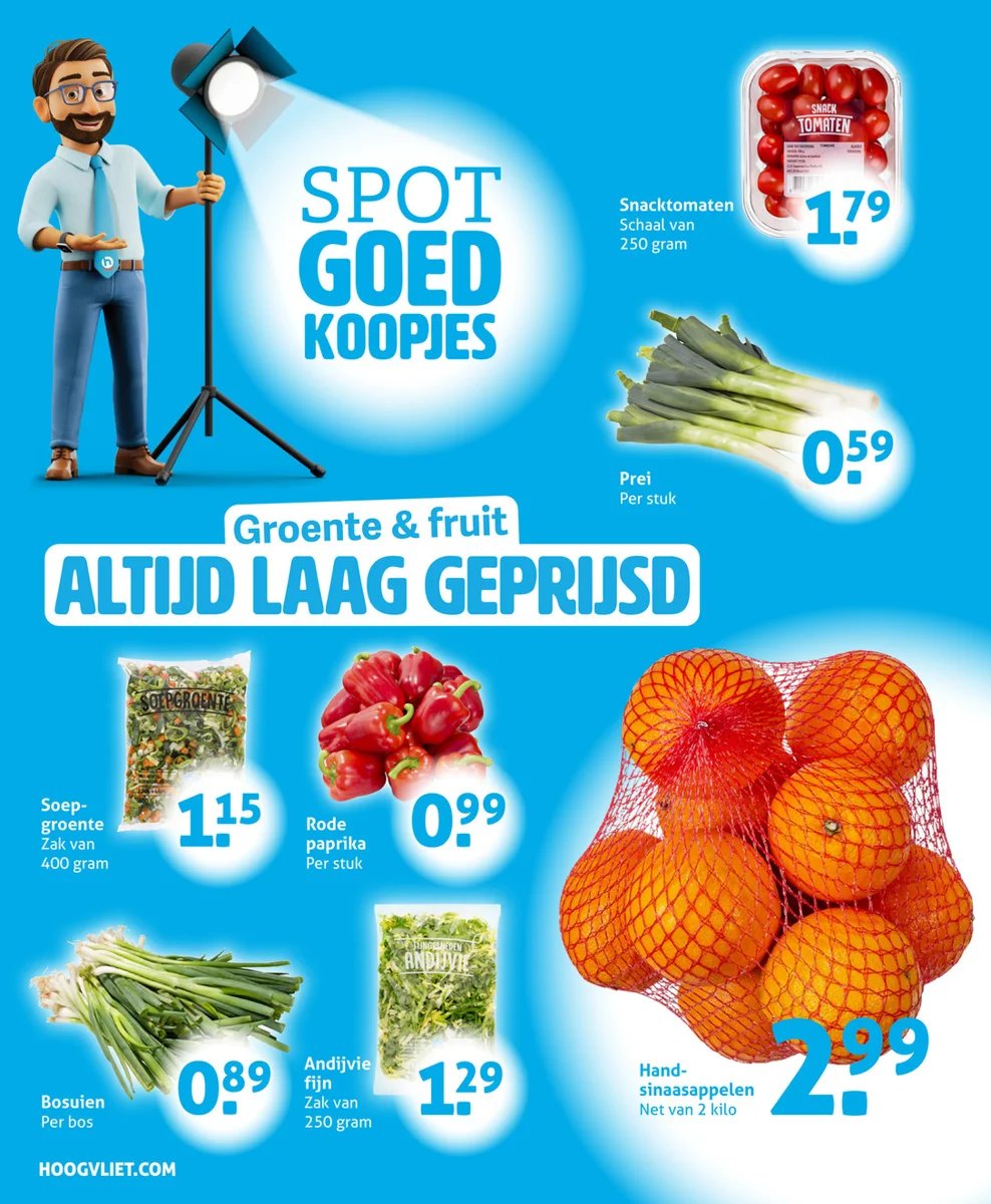 Hoogvliet folder – pagina 10