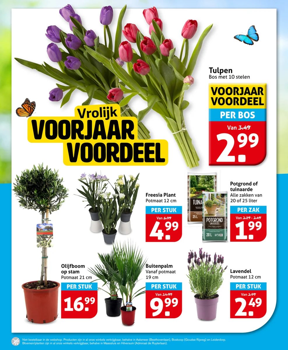 Hoogvliet folder – pagina 22