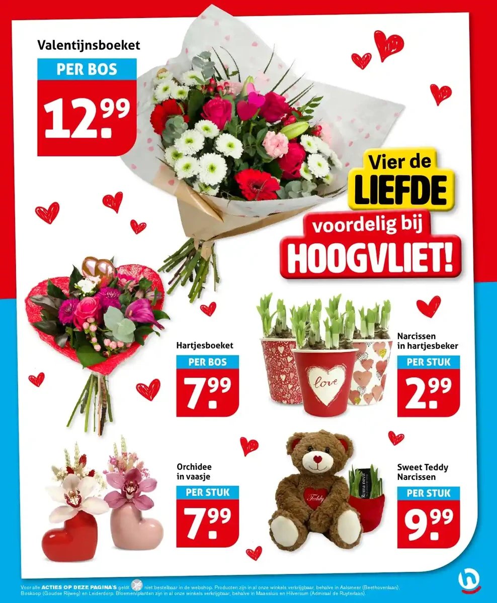 Hoogvliet folder – pagina 17