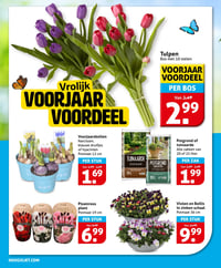 Tulpen aanbieding bij Hoogvliet – geldig van 18.03.2026 t/m 24.03.2026