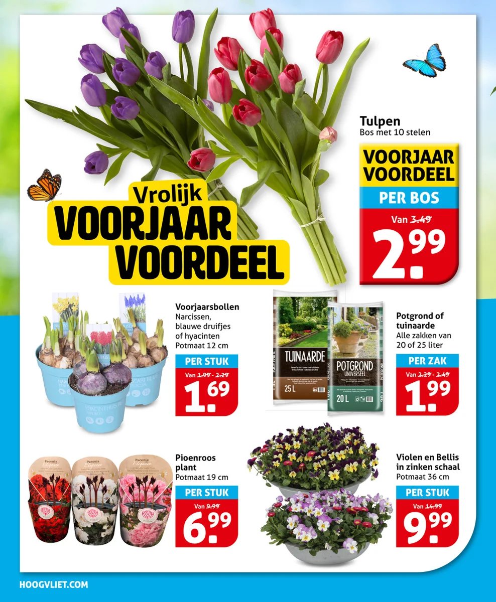 Hoogvliet folder – pagina 22