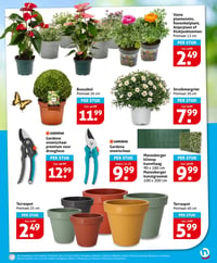 Struikmargriet aanbieding bij Hoogvliet – geldig van 18.03.2026 t/m 24.03.2026