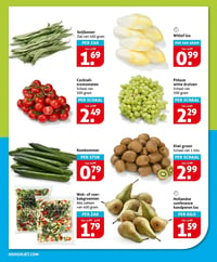 Witlof los aanbieding bij Hoogvliet – geldig van 21.01.2026 t/m 27.01.2026