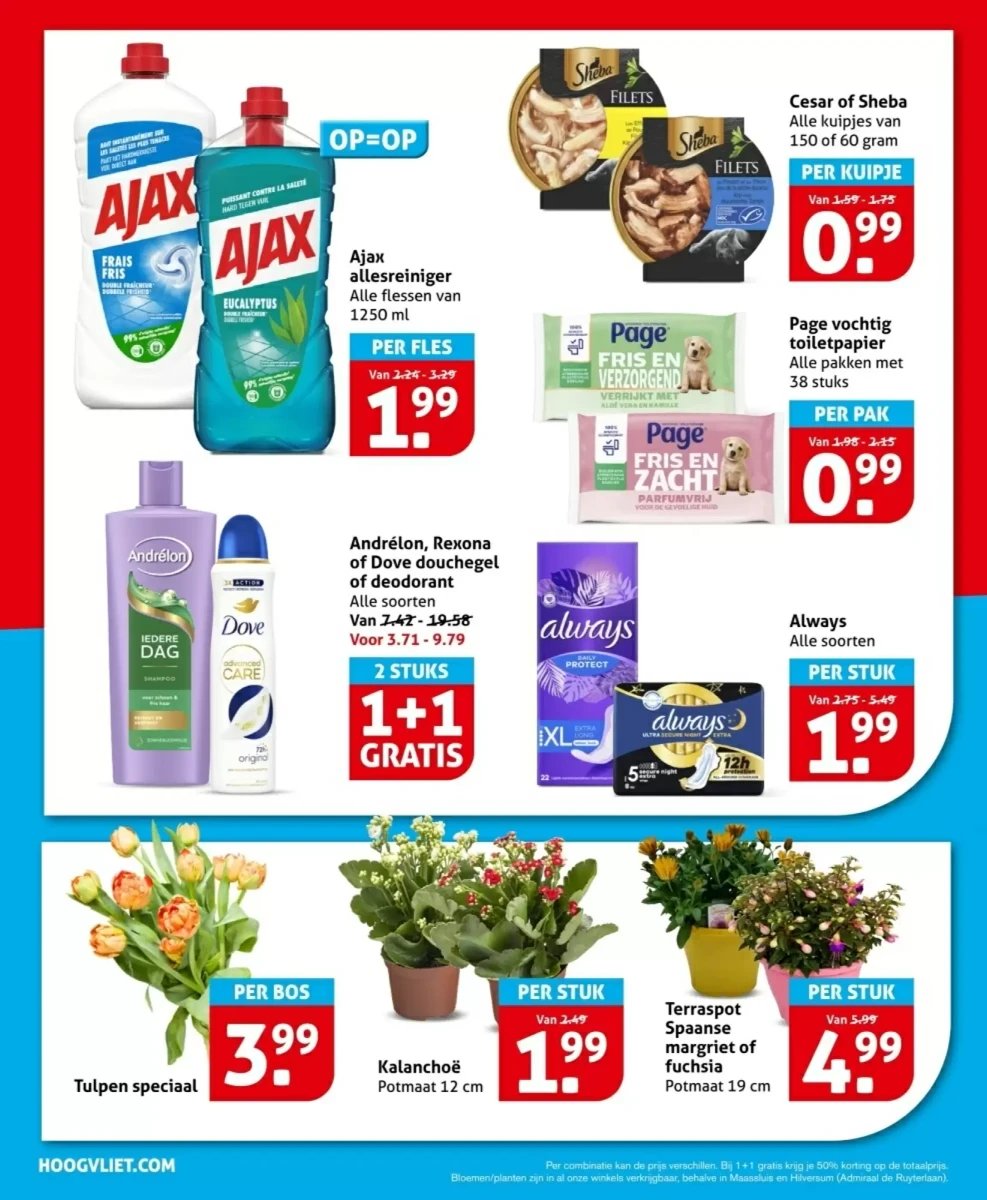Hoogvliet folder – pagina 26