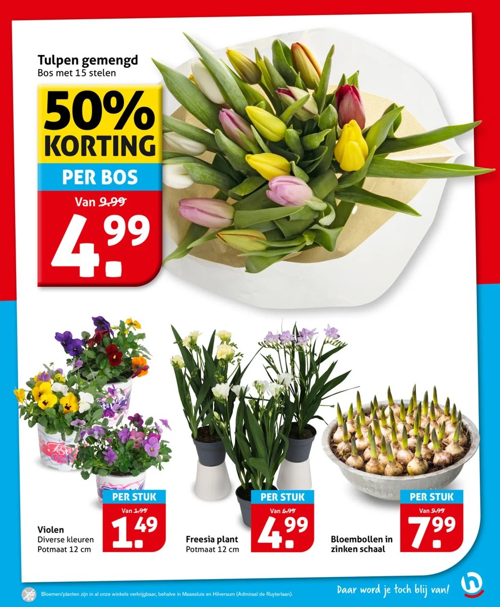Hoogvliet folder – pagina 15