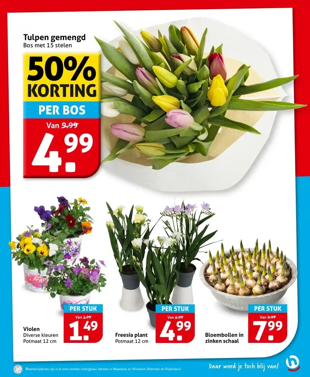 Hoogvliet folder – pagina 15