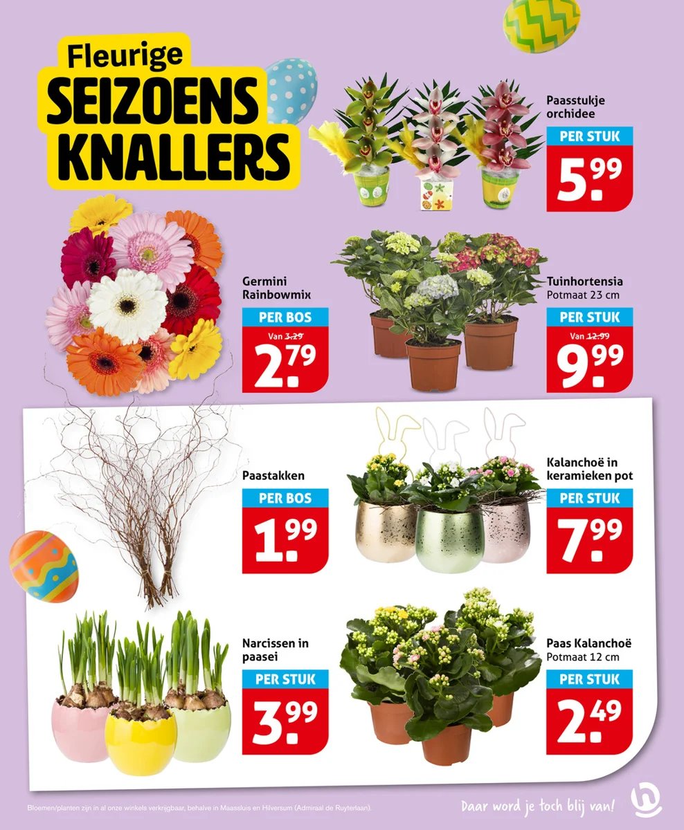 Hoogvliet folder – pagina 15