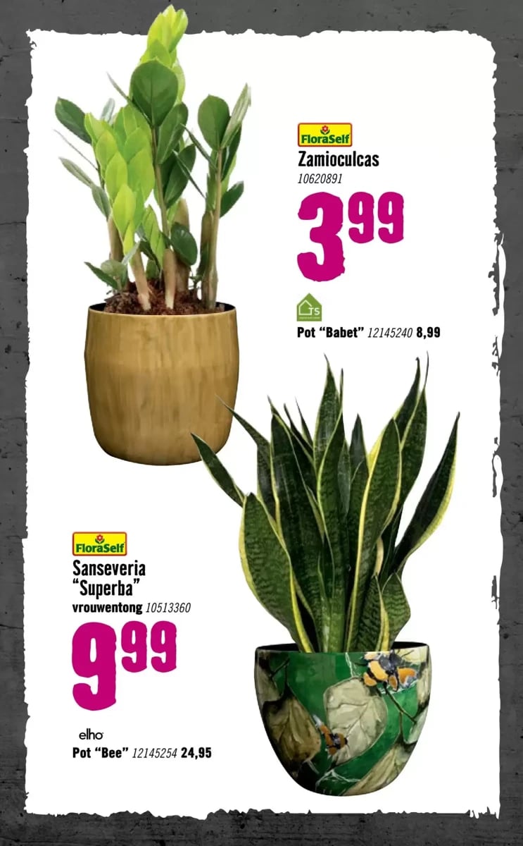 Hornbach folder – pagina 77