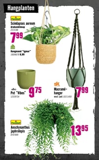 Macramé-hanger excl. pot aanbieding bij Hornbach – geldig van 05.01.2026 t/m 08.02.2026