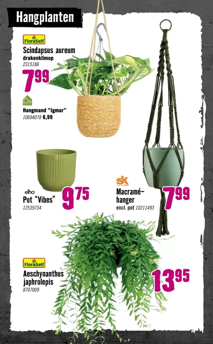 Hornbach folder – pagina 75