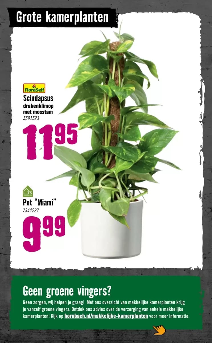 Hornbach folder – pagina 80