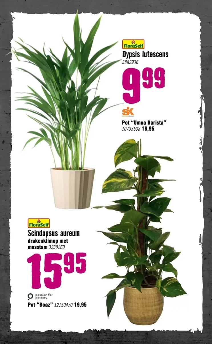 Hornbach folder – pagina 81