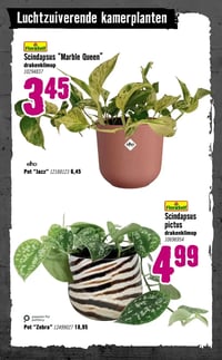 passion for pottery Pot "Zebra" aanbieding bij Hornbach – geldig van 05.01.2026 t/m 08.02.2026