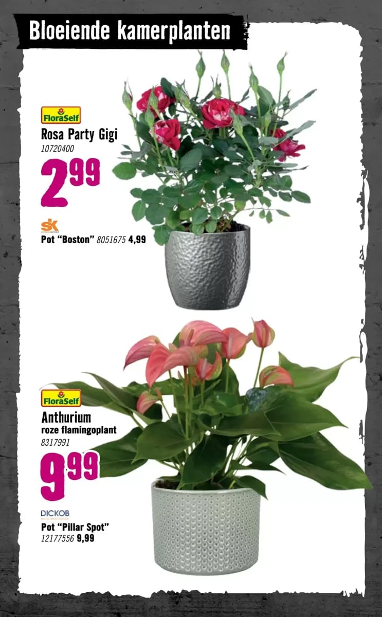 Hornbach folder – pagina 72