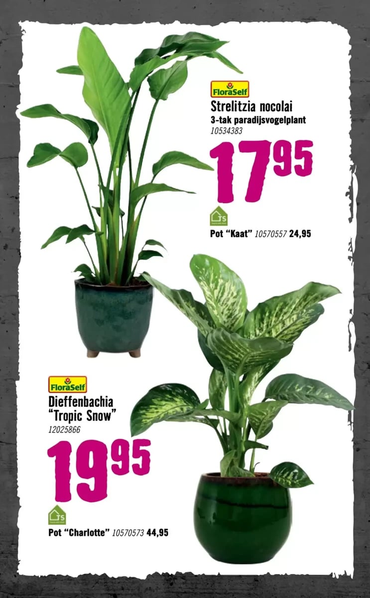 Hornbach folder – pagina 78