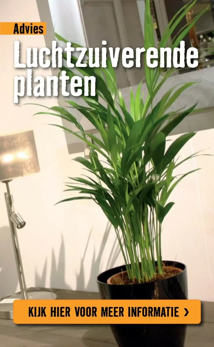 Hornbach folder – pagina 79