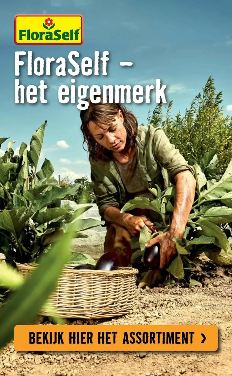 Hornbach folder – pagina 6