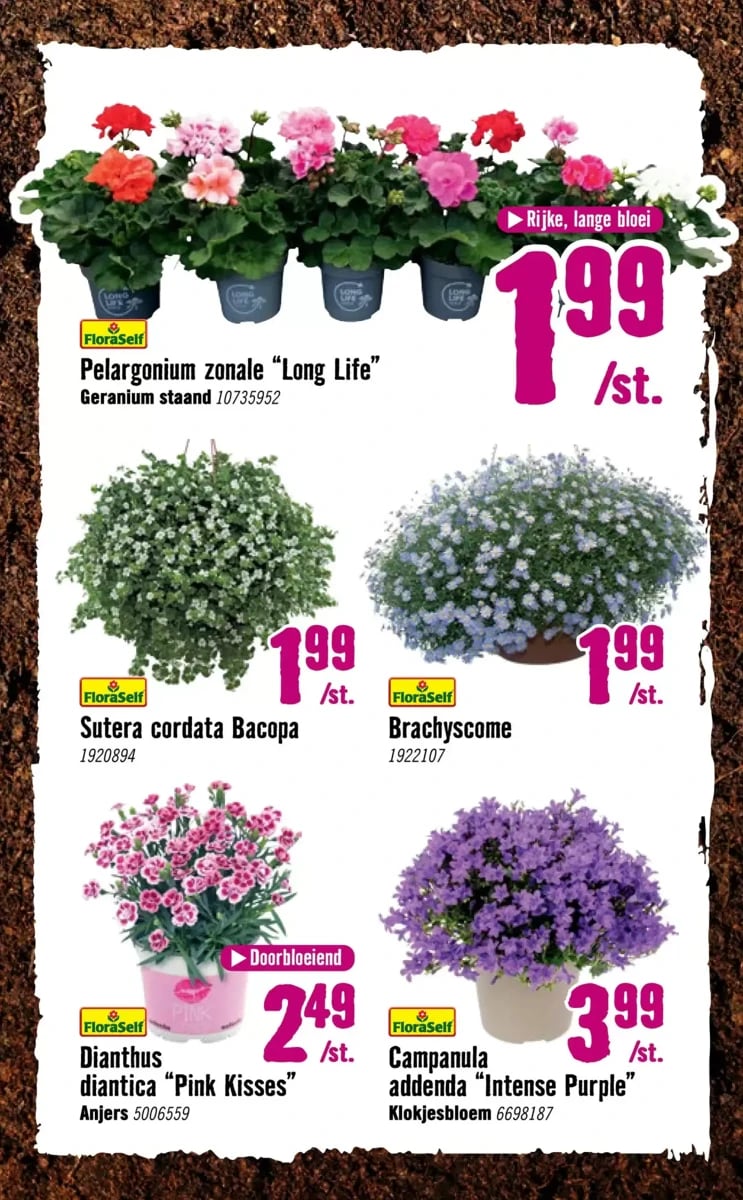 Hornbach folder – pagina 15