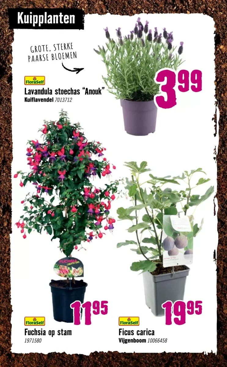 Hornbach folder – pagina 24