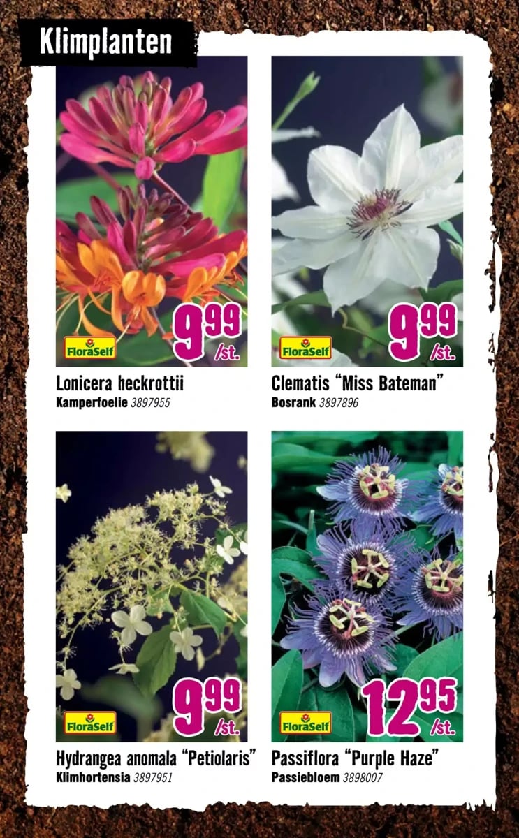 Hornbach folder – pagina 7