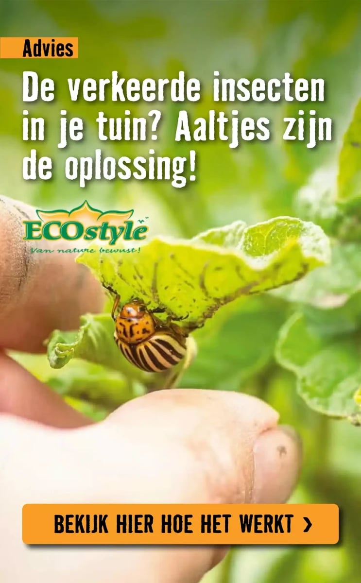 Hornbach folder – pagina 23
