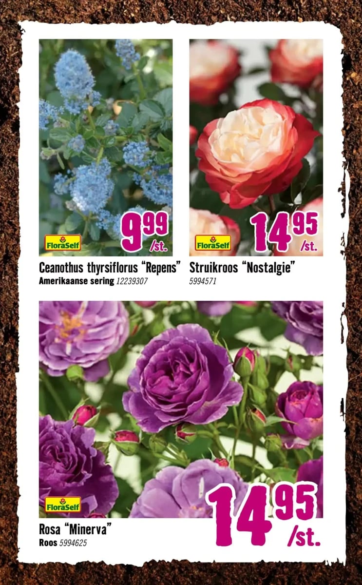 Hornbach folder – pagina 3